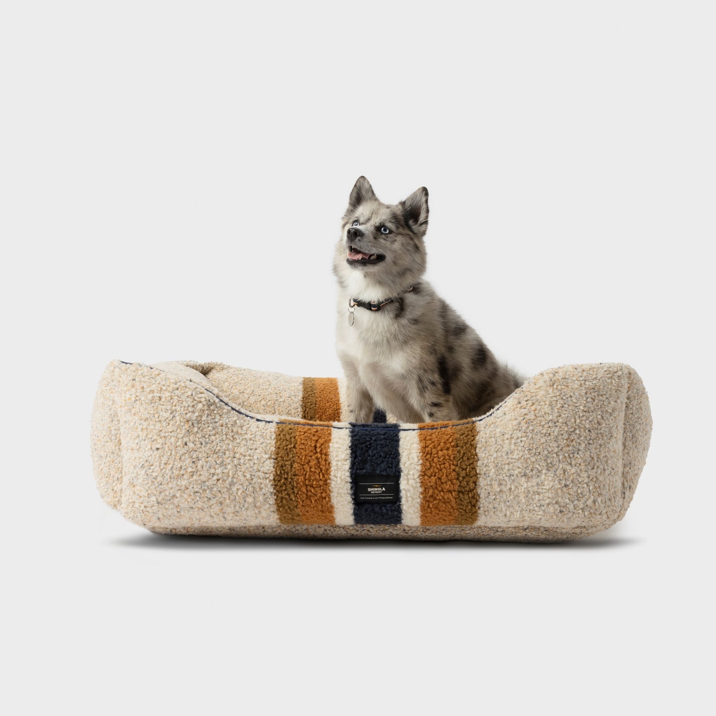 A small, fluffy dog with a collar sits in the Shinola Kuddle Dog Bed - Stripe Oat, a cozy beige bed with orange and navy blue stripes and a washable cover, on a plain white background.