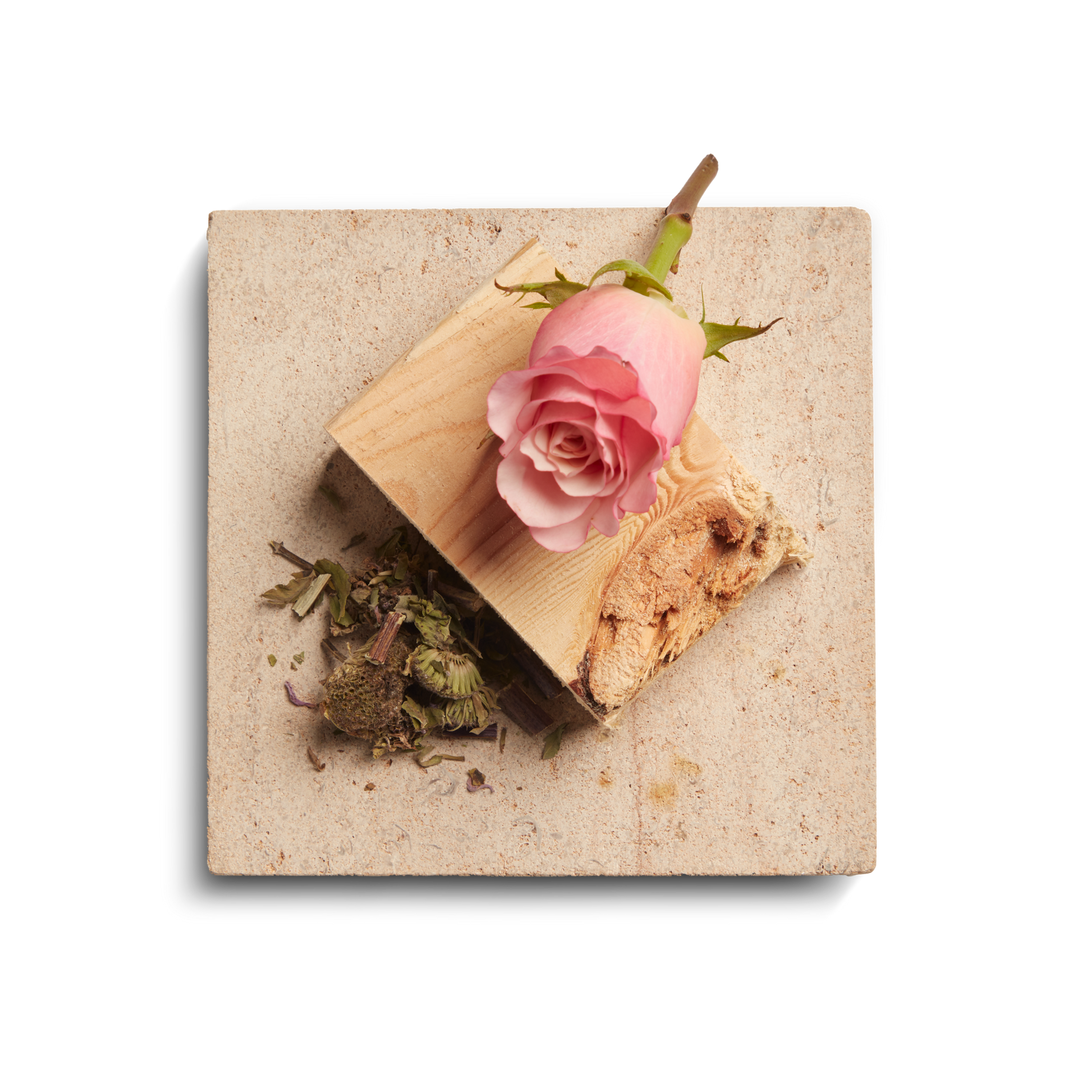 The Shinola Rose 8 oz Scented Candle rests atop a square beige stone tile with dried green herbs nearby, and evokes a gentle floral aroma reminiscent of a soft pink rose, all set against a white background.