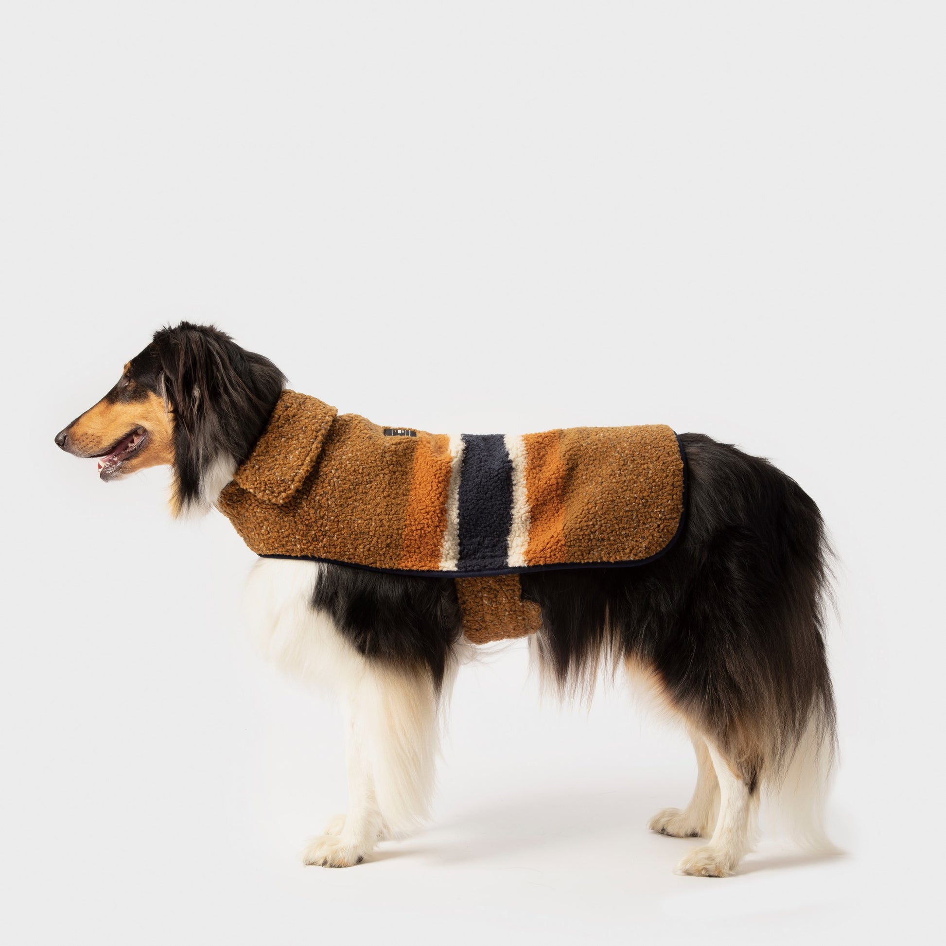 A long-haired dog wearing a Shinola Dog Coat - Brand Stripe / Tan stands on a plain white background, facing left with its mouth slightly open.