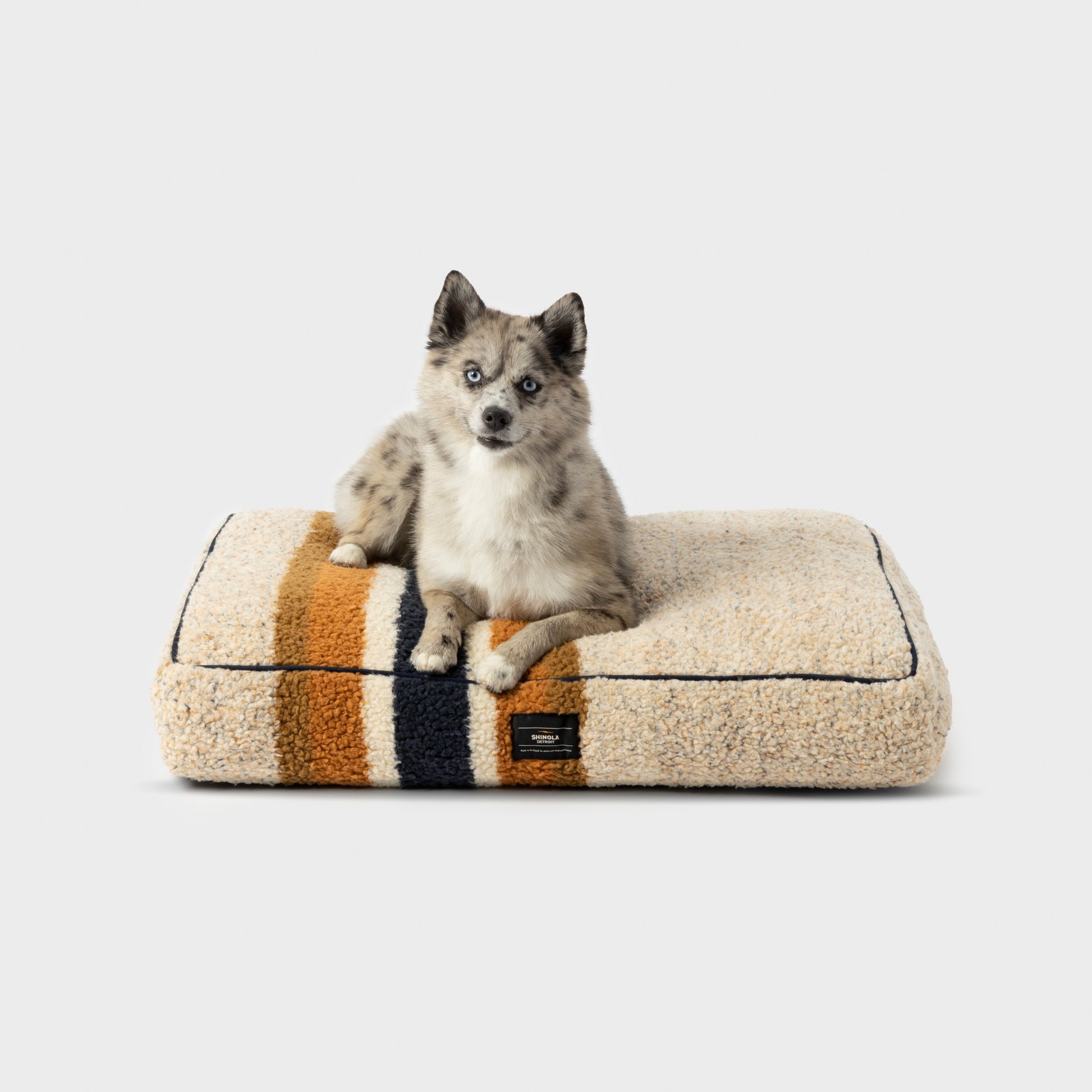 A small, fluffy dog with gray and white fur lies on the Shinola Napper Pillow Dog Bed - Stripe Oat, a rectangular beige bed featuring black and orange stripes and a cozy, machine-washable Berber cover, set against a plain white background.