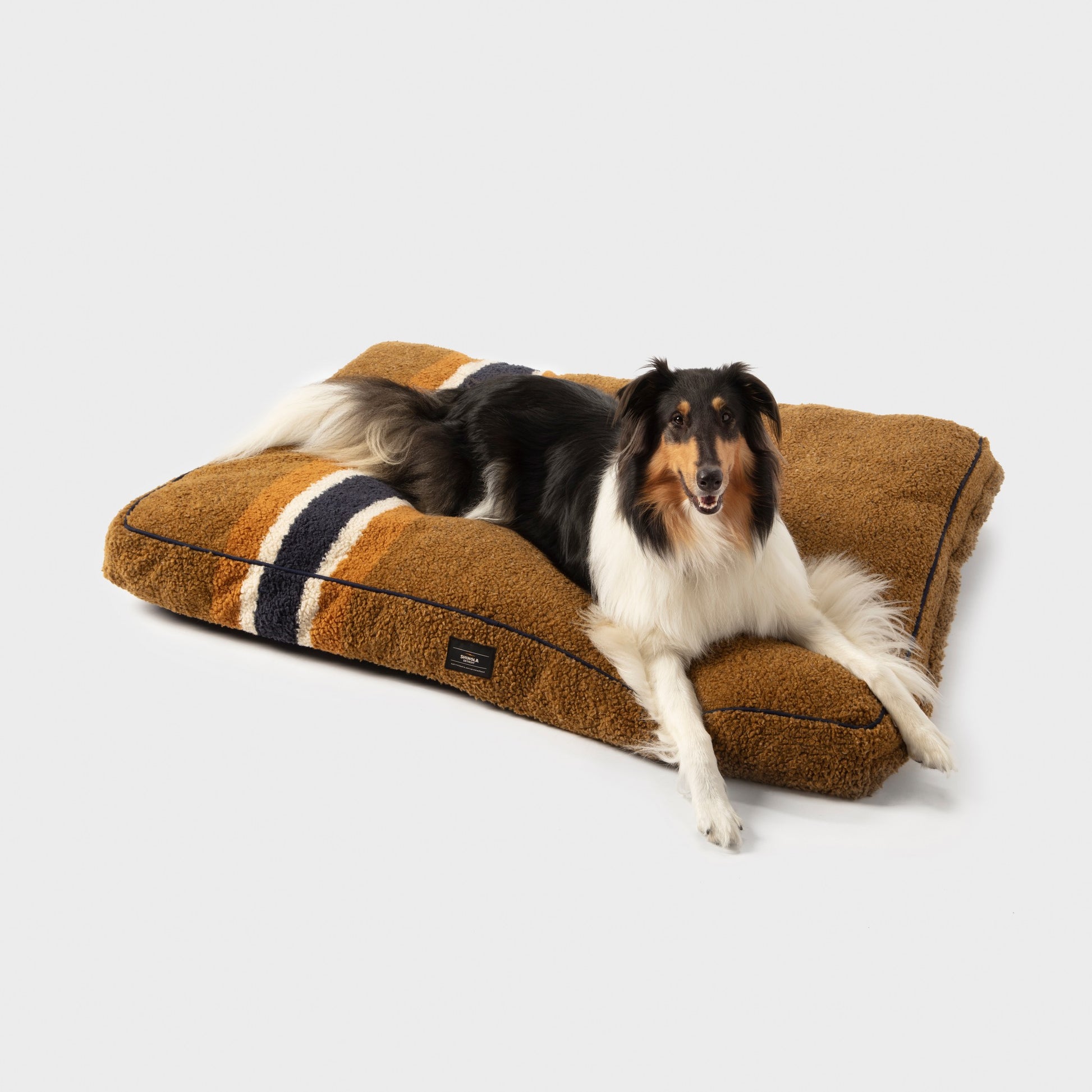 A black, white, and brown Collie comfortably lounges on the Shinola Napper Pillow Dog Bed - Stripe Brown, featuring a machine washable cover with white and black stripes, shown on a plain white background.
