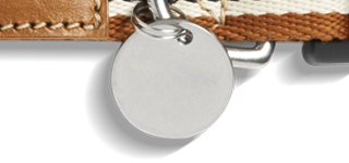A close-up of a blank, round silver tag on the Shinola Nylon Dog Collar - Brand Stripe with metal hardware.