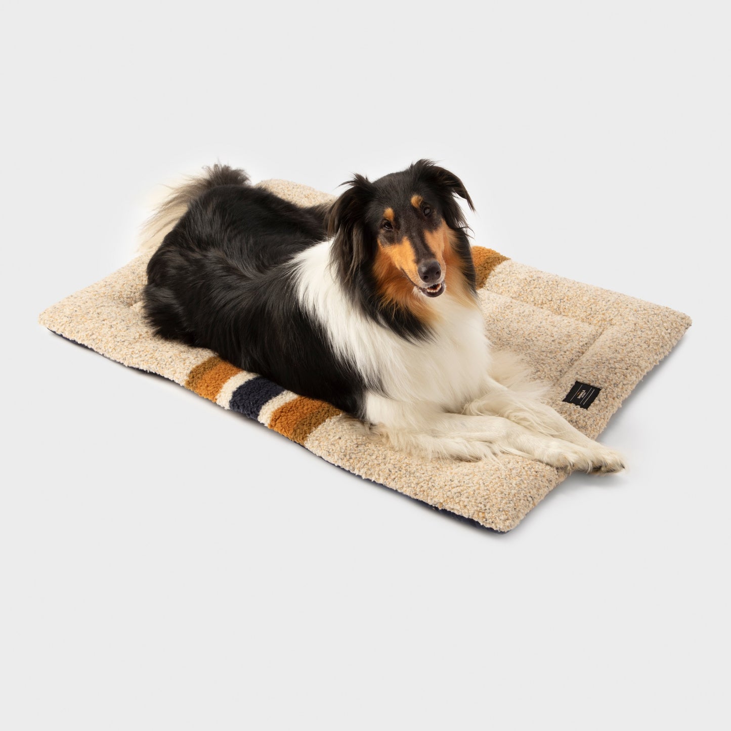 A black, white, and tan dog lies on a Shinola Crate Comfort Mat - Oat Stripe, a beige rectangular machine-washable dog bed with brown and navy blue stripes, set against a plain light background.