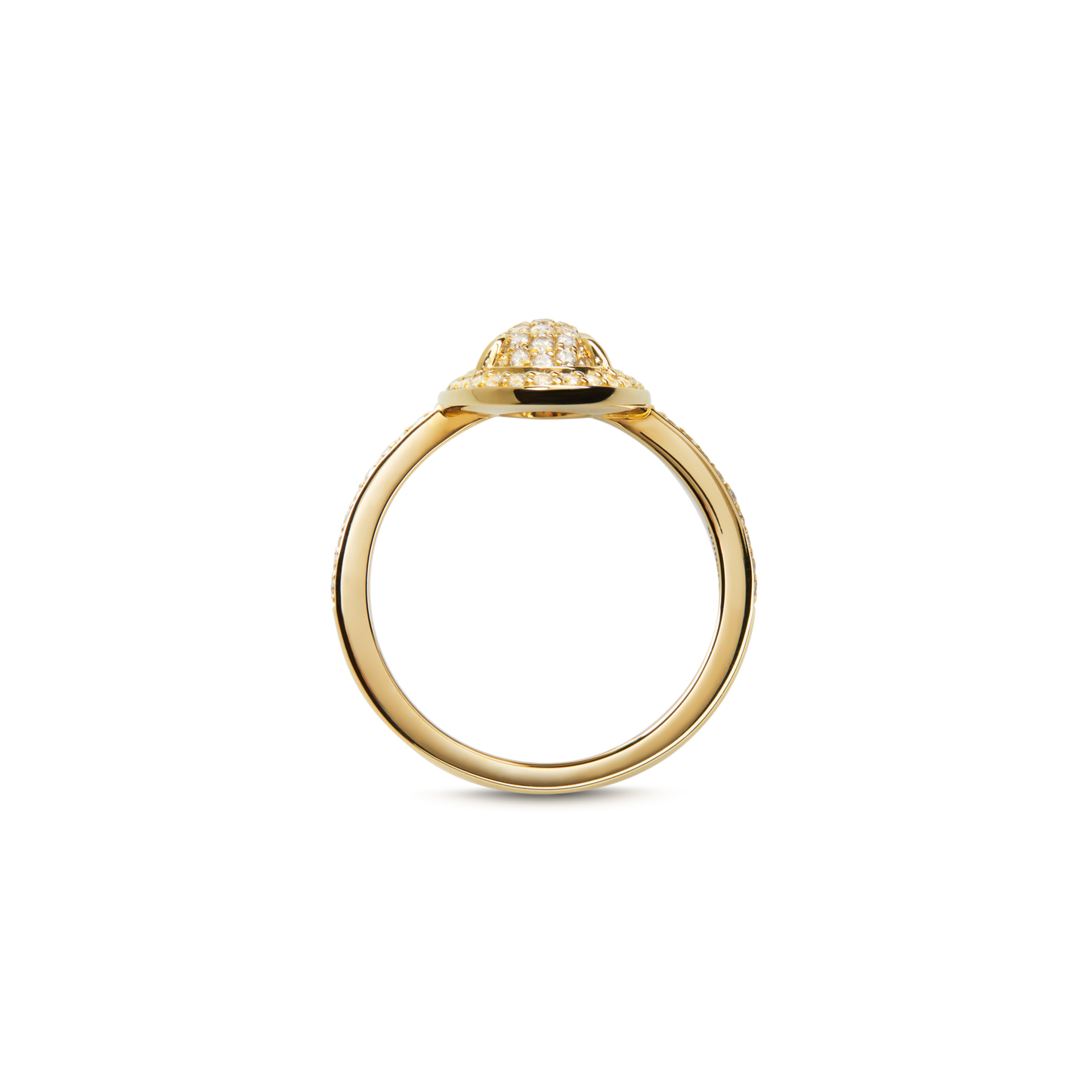 The Shinola Diamond Pave Oval Ring - Yellow Gold features a domed, round setting encrusted with natural diamonds, shown from the side on a plain white background.