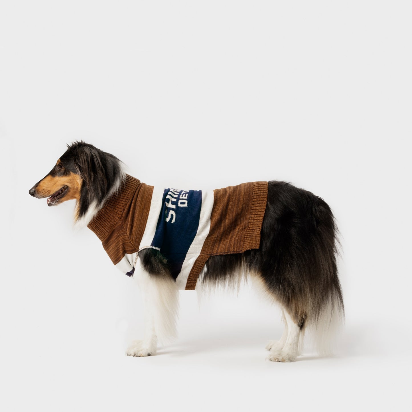 A long-haired dog wears the Shinola Dog Sweater - Brand Stripe / Tan and stands on a plain white background, facing left.