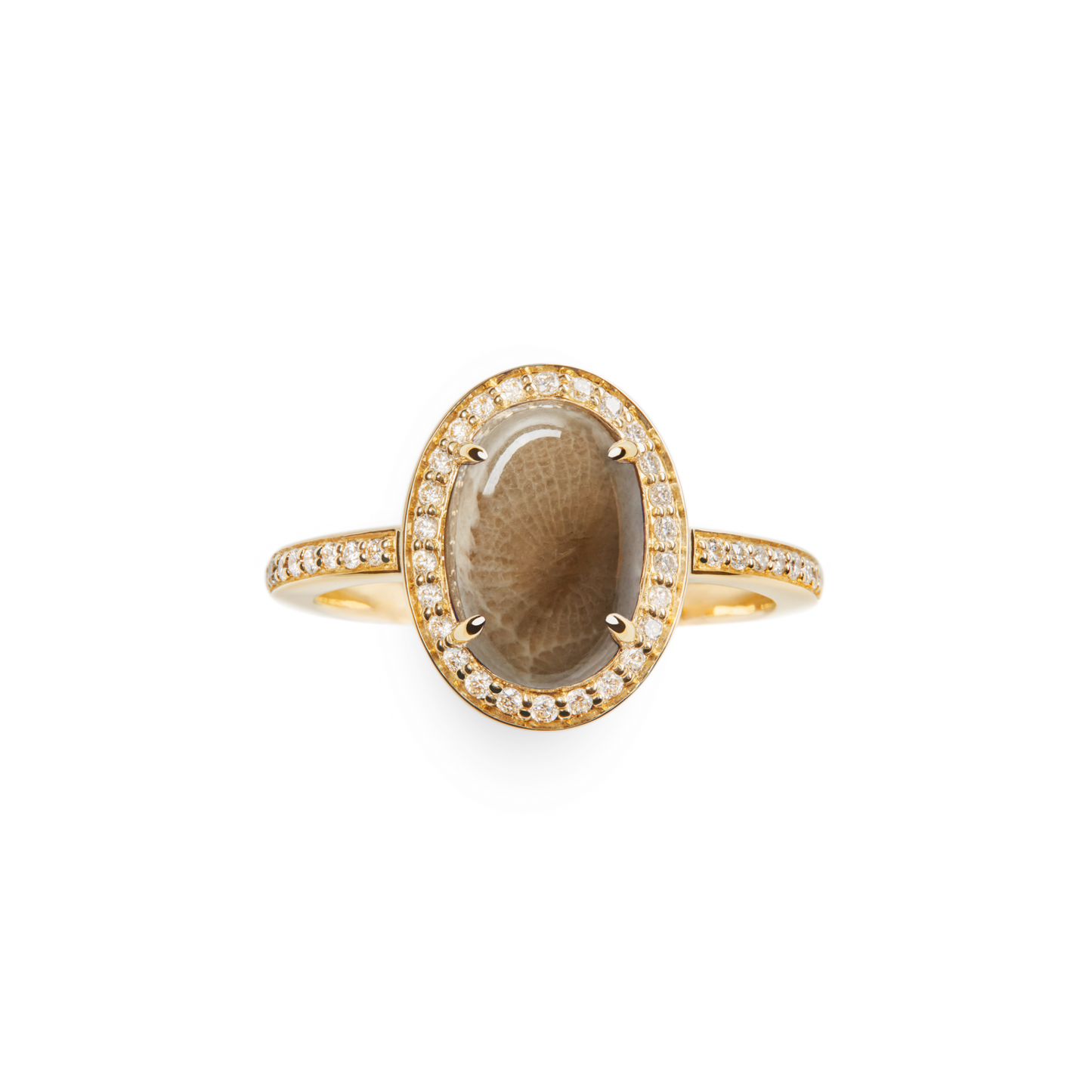 The Shinola Petite Diamond Pave Petoskey Oval Ring in yellow gold features a translucent brown Petoskey stone framed by a diamond halo and additional diamond pave accents on the band.