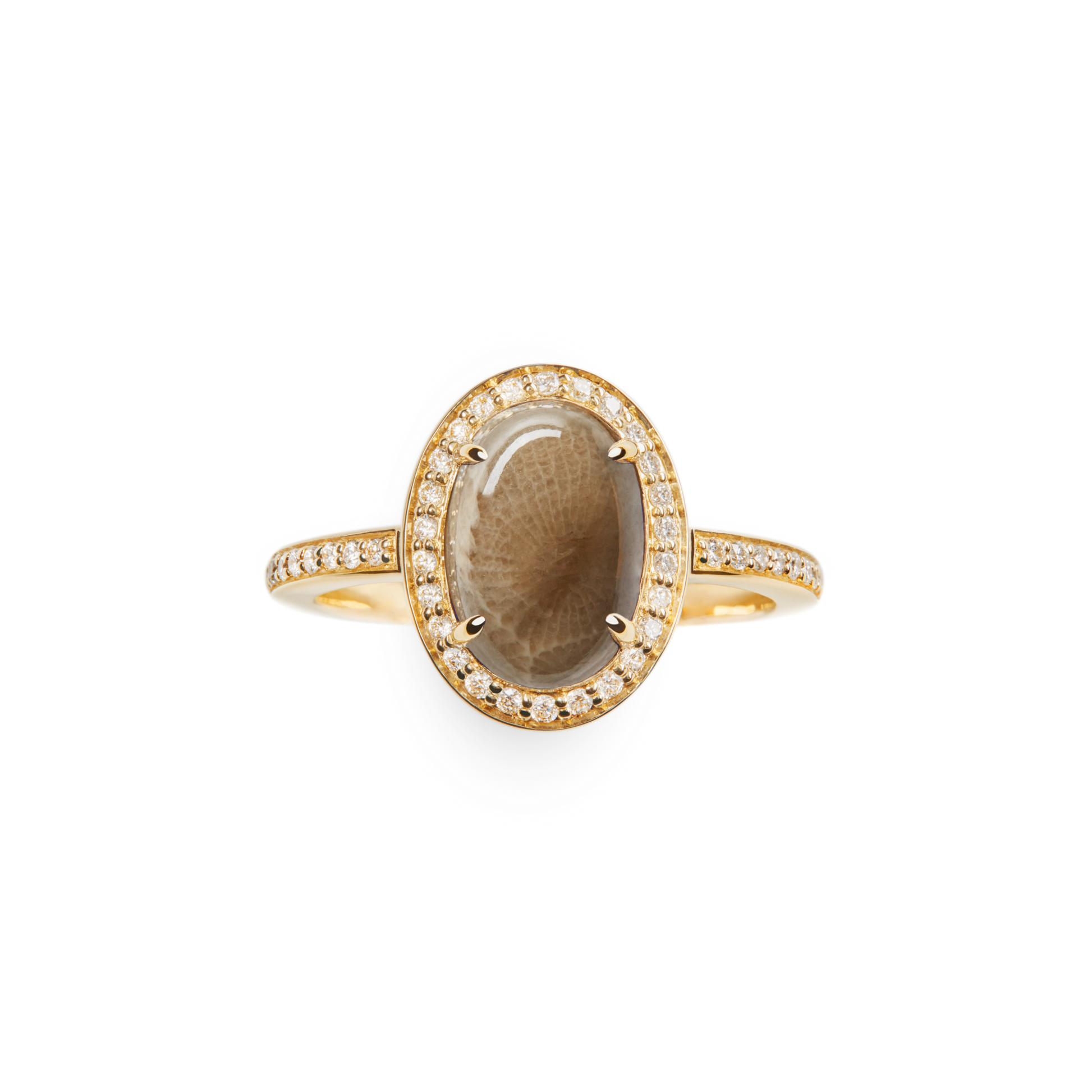The Shinola Petite Diamond Pave Petoskey Oval Ring in yellow gold features a translucent brown Petoskey stone framed by a diamond halo and additional diamond pave accents on the band.