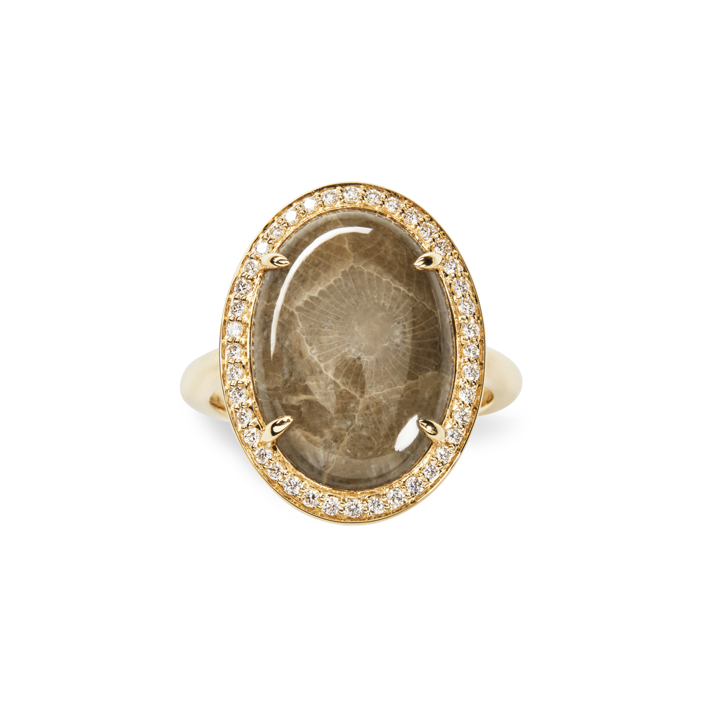 The Shinola Diamond Pave Oval Petoskey Ring in yellow gold features an oval Petoskey stone accented with sparkling white diamonds on a 14k band.