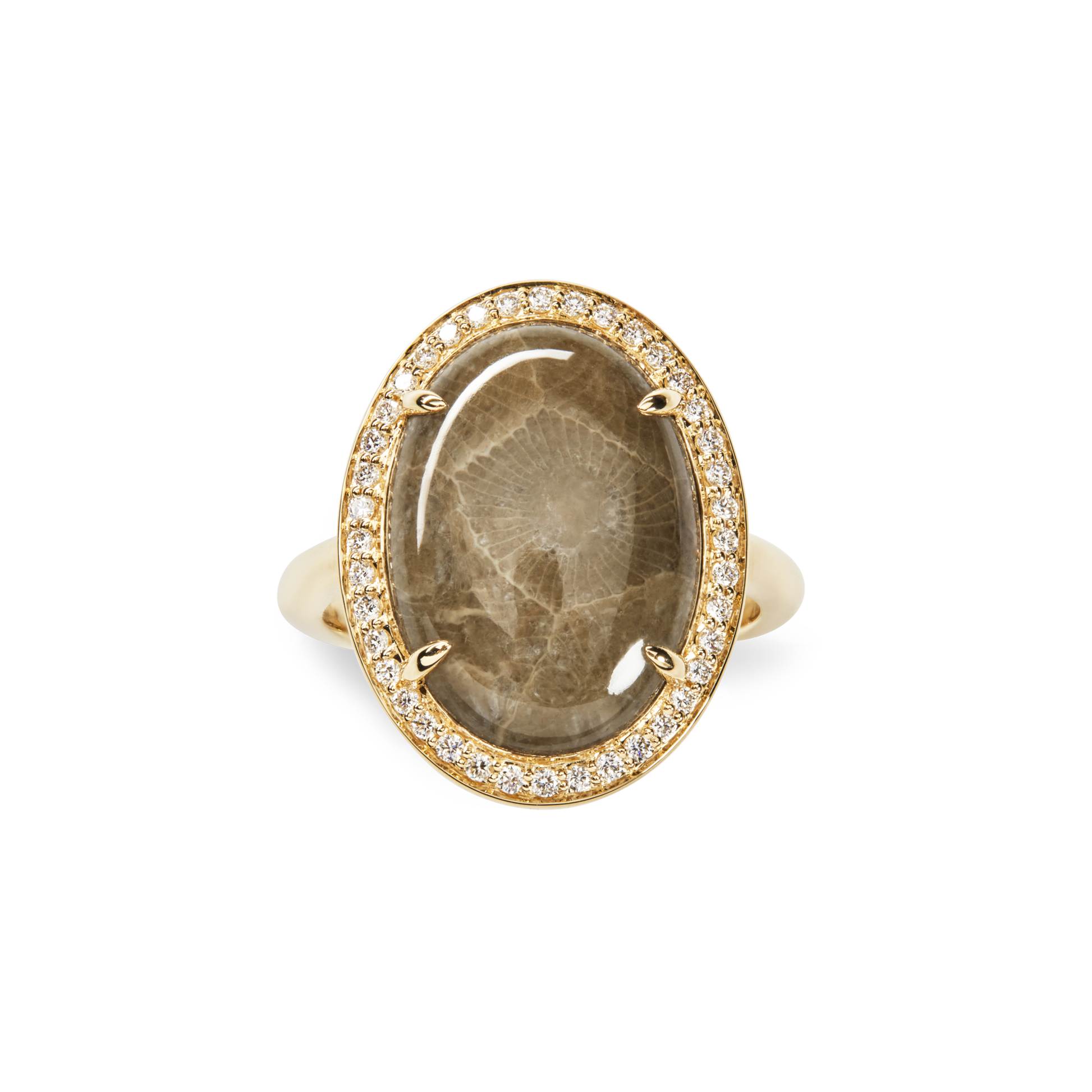 The Shinola Diamond Pave Oval Petoskey Ring in yellow gold features an oval Petoskey stone accented with sparkling white diamonds on a 14k band.
