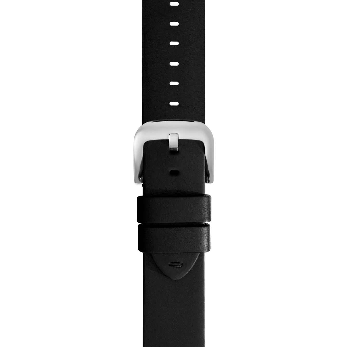 Close-up of a Shinola 24mm Black Leather Watch Strap with a silver buckle, shown from above on a white background. The strap has multiple adjustment holes and two loops to secure excess length.
